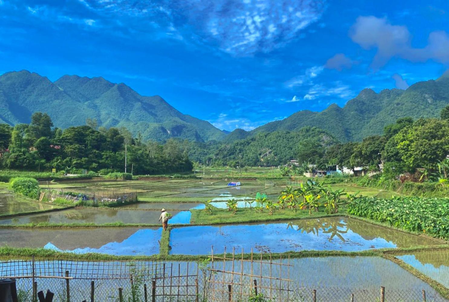 Meadow Mai Chau Homestay Ngoại thất bức ảnh